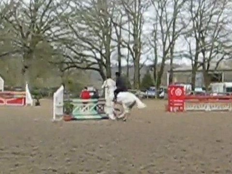 DON JUAN V parade des étalons 2e tour