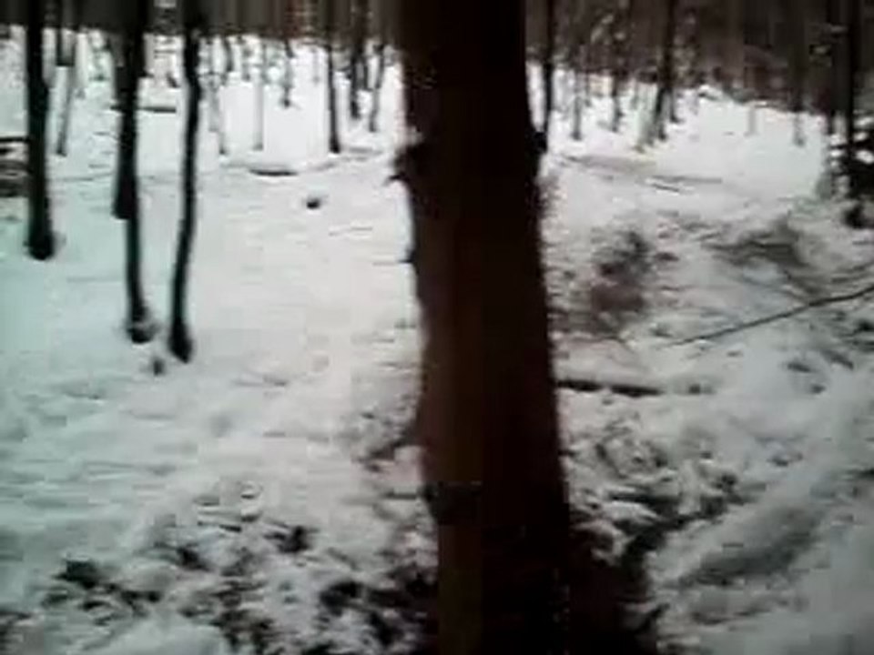MOV00053