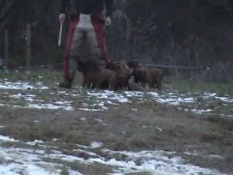 domaine de louxor premier mordant à 6 semaines