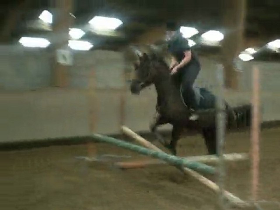Cours de saut avec Quérida le 13 février. Oxer