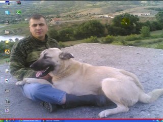 Program Yuklmek www.Gruevo.Com