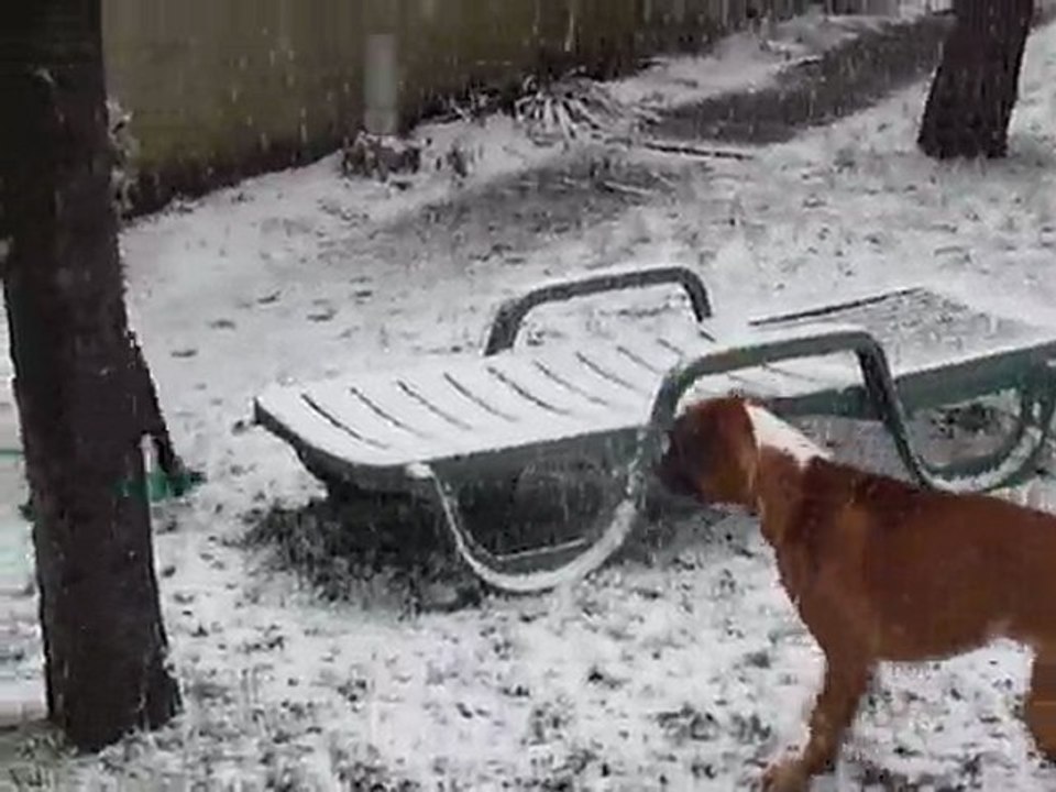 EWANE et EOLE dans le jardin vol.2 - Février 2010