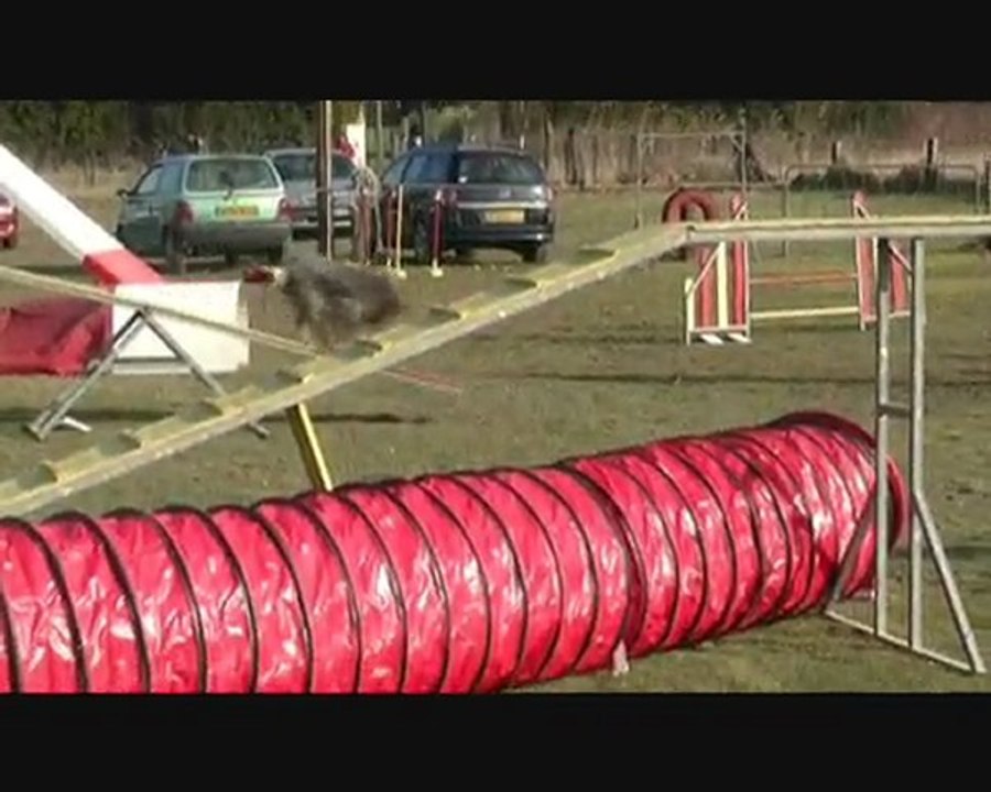 Buck Agility Mouriès