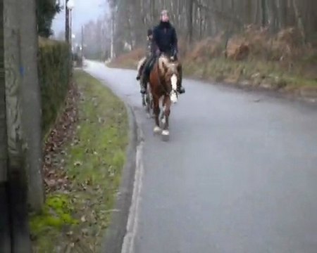 fevrier07 2010 balade avec manon et morgane