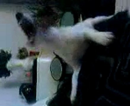 Enjoy pète un câble :)