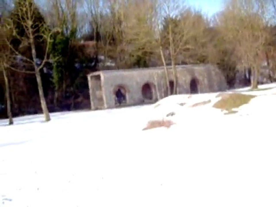 FRANKLAIN ET SON SAVAGE