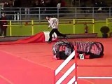 agility annonay Diabolo