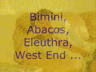 Houdini Clarke Travels the Bahamas