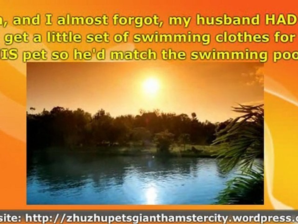 Zhu Zhu Pet Hamster Fun - Adults Can Have Fun With Zhu Zhu P