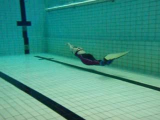 MJL2010 Veera DYN tekn