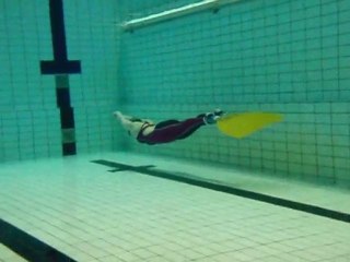 MJL2010 Veera DYN tekn levymono