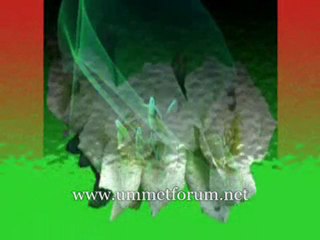 Mahmut Durgun - Dermana Geldim