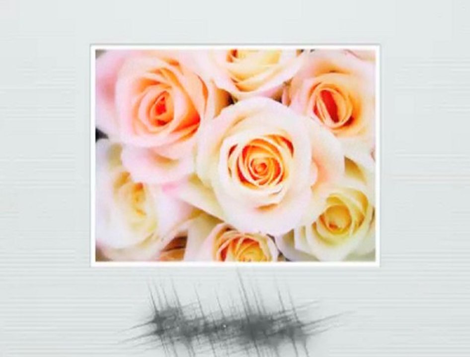 Wedding Photography Columbia SC