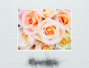 Wedding Photography Columbia SC