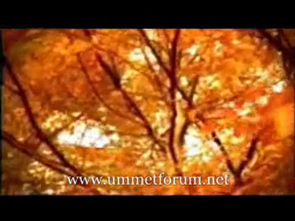 Muzaffer Gürler - Yalvarış