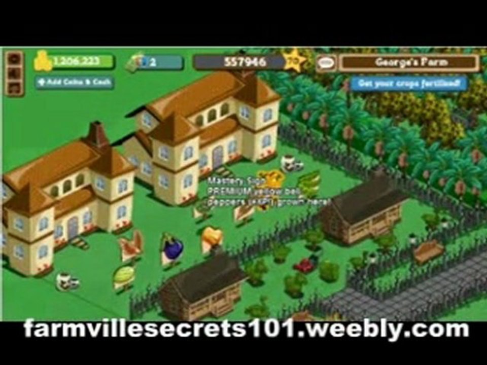 Farmville Secrets