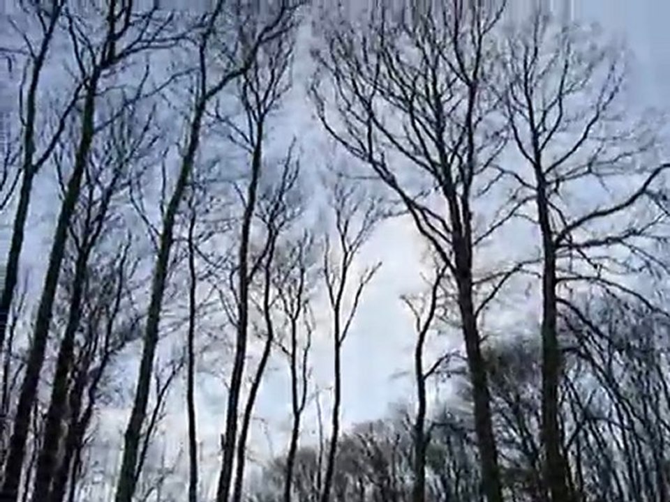 vtt montmorency 14.02.10