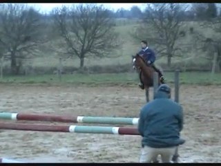 poney D a vendre. rebel du jouas