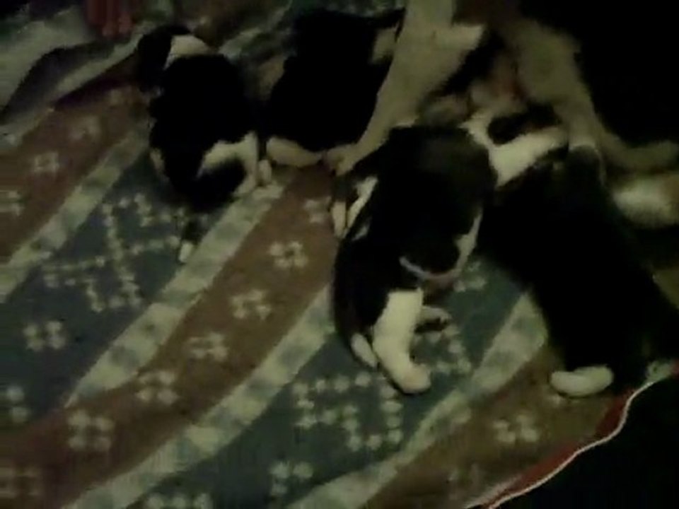 Moments d'intimités de Biba le 14 Février 2010