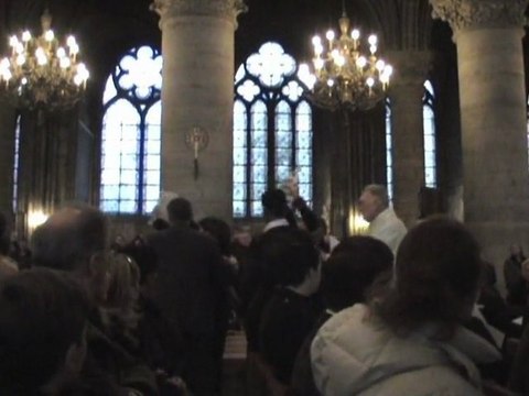 Panthères roses et Furieuses Fallopes à Notre-Dame de Paris