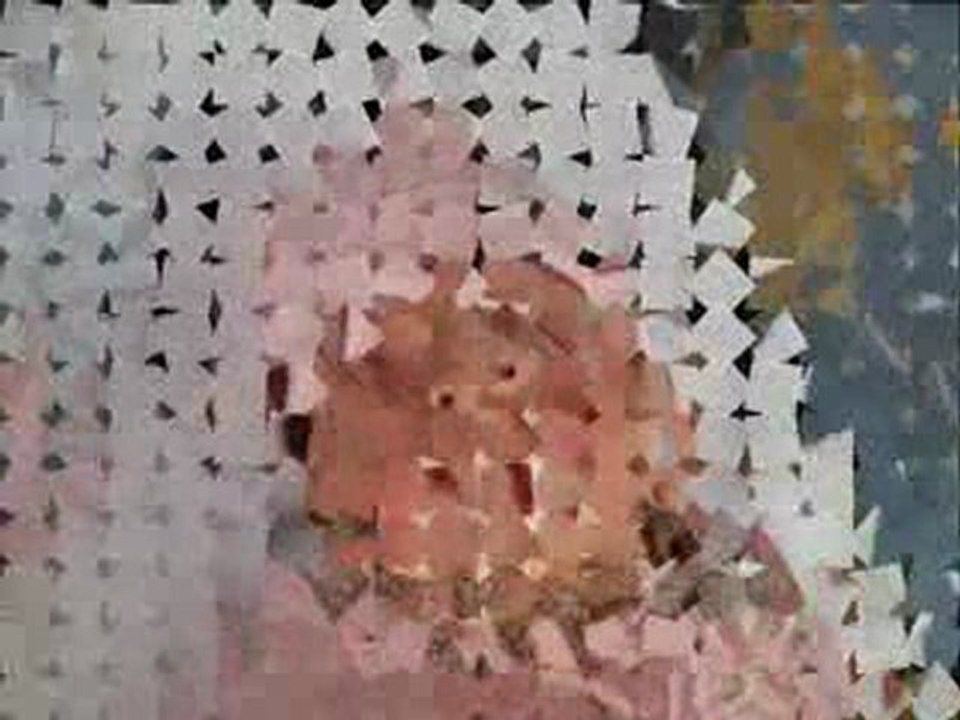 grossesse et naissance de maelys