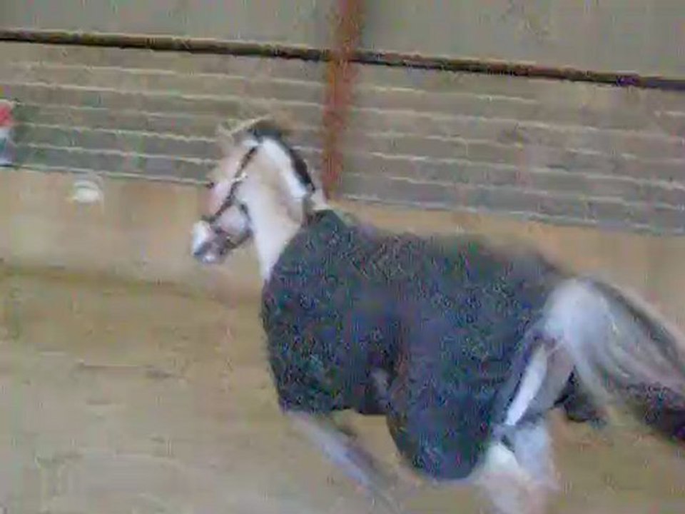 Ghost,Josiane & Spirit