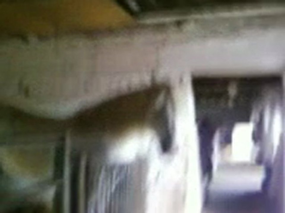 video 4