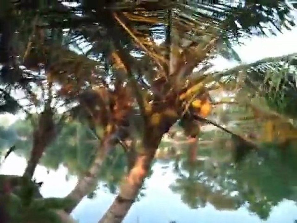 India - Alleppey - Backwaters village