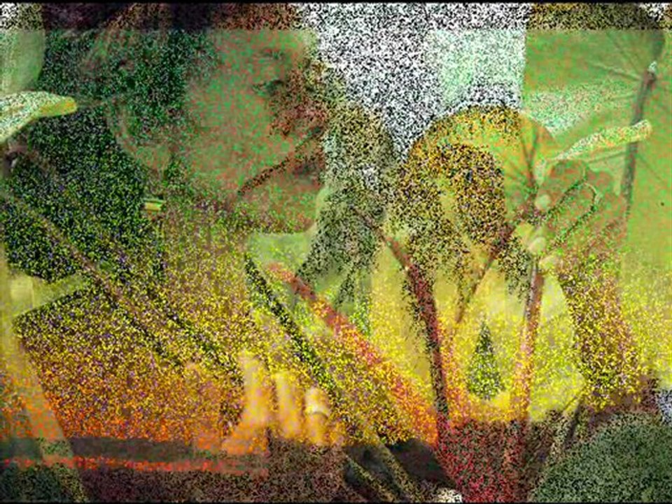 Vibronics ft Boney L ~ only one love Dub