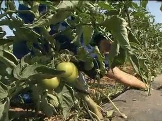 Casablanca Les Enfants De La Misere 3/3