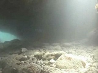 Octopus diving chapter 2