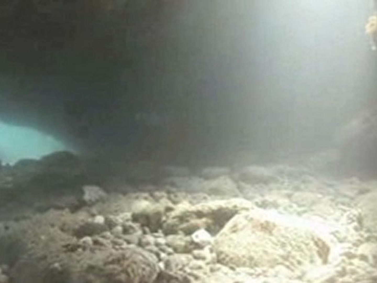 ⁣Octopus diving chapter 2
