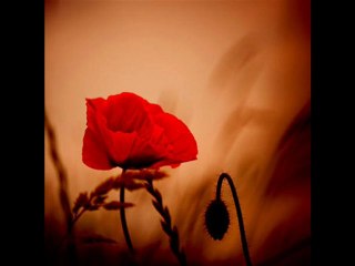 farid farjad/ ayrılık