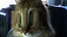 Webcam 1266243547390