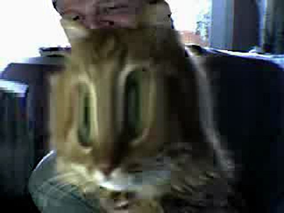 Webcam 1266243547390