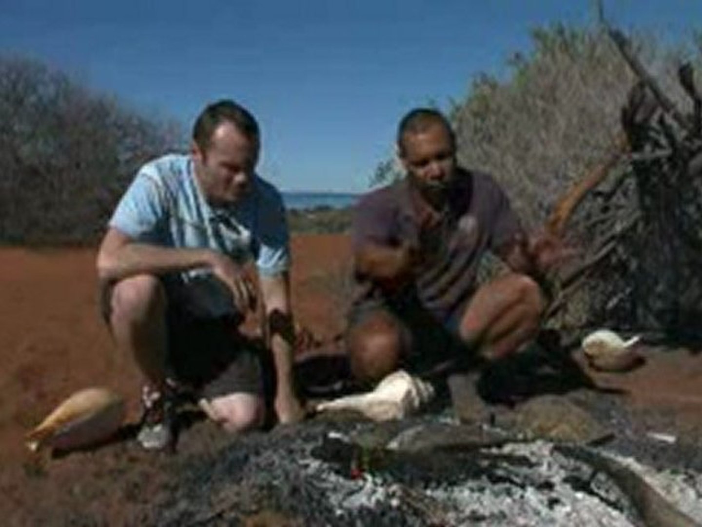 How to cook mullet - aboriginal style