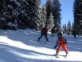 Une piste bleue dans les sapins