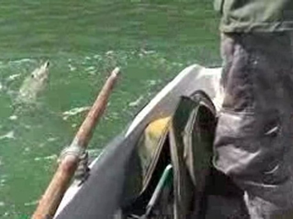 Pike fishing in Finland. Pike on Buster Jerk