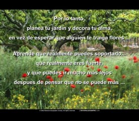 Video 117 EL SECRETO de La Ley de La Atraccion