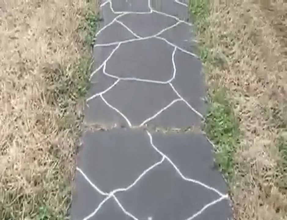 Superior Stains Concrete Staining & Engraving