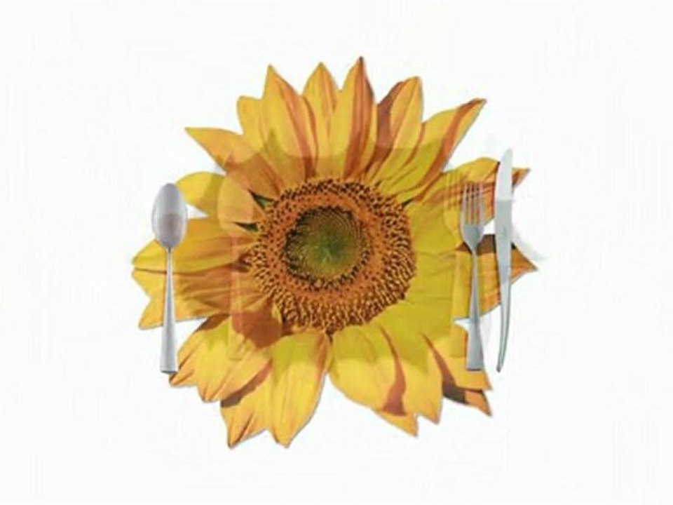 Place mats, Coasters for lovely table decorations