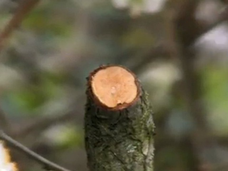 1M62 - Cercle en Boucle