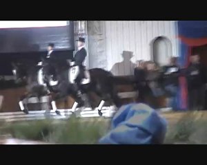 Vechta 2010 - Sandro Hit et Sir Donnerhall