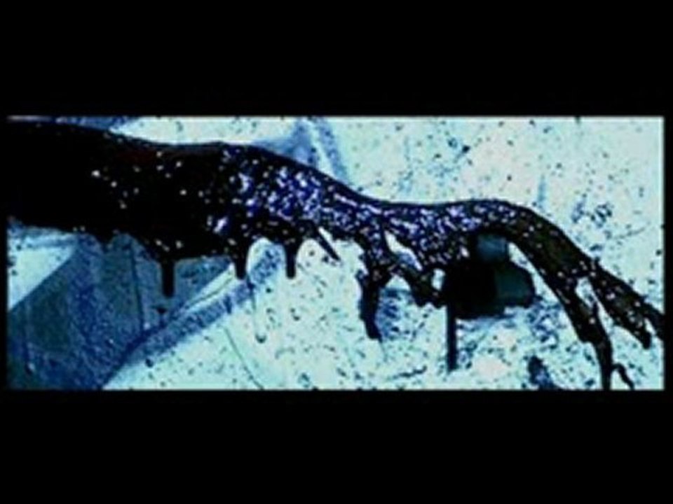 Balck Vner - DANGEREUX - CLIP VIDEO