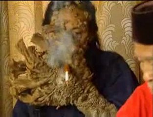 L'homme-arbre  the tree man