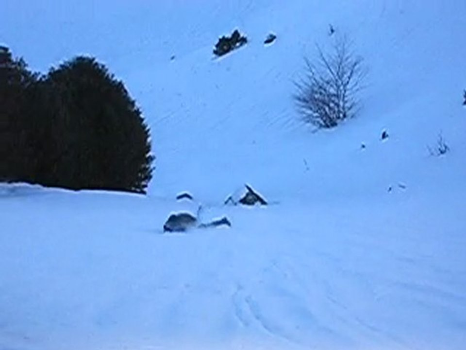 WE HP 11 & 12/02/06 Trpe Ière Tlse FSE