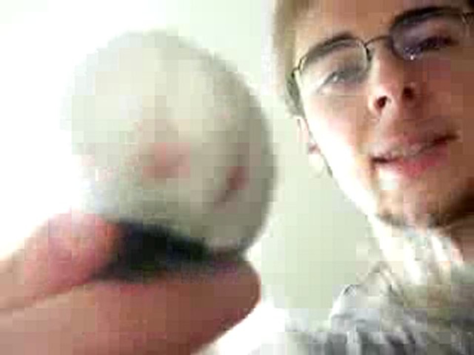 Patounette de chat