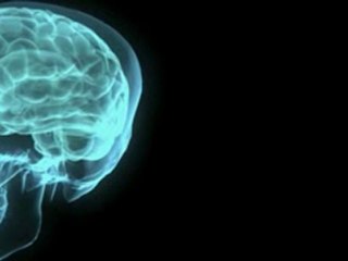 No lo hagas la base de la psicologia inversa