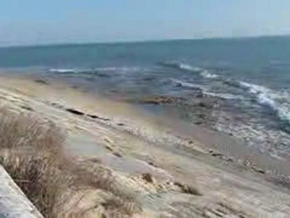 journée du 15 février 2010