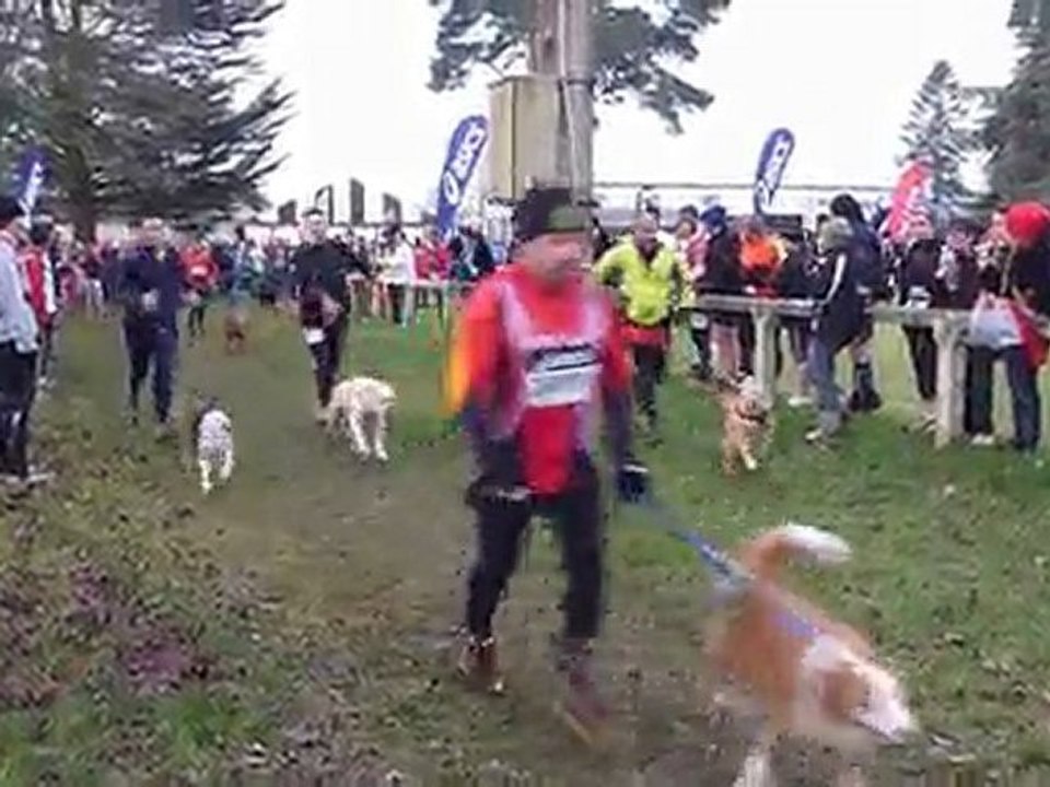 Trail Glazig 2010 - Cani Trail suite